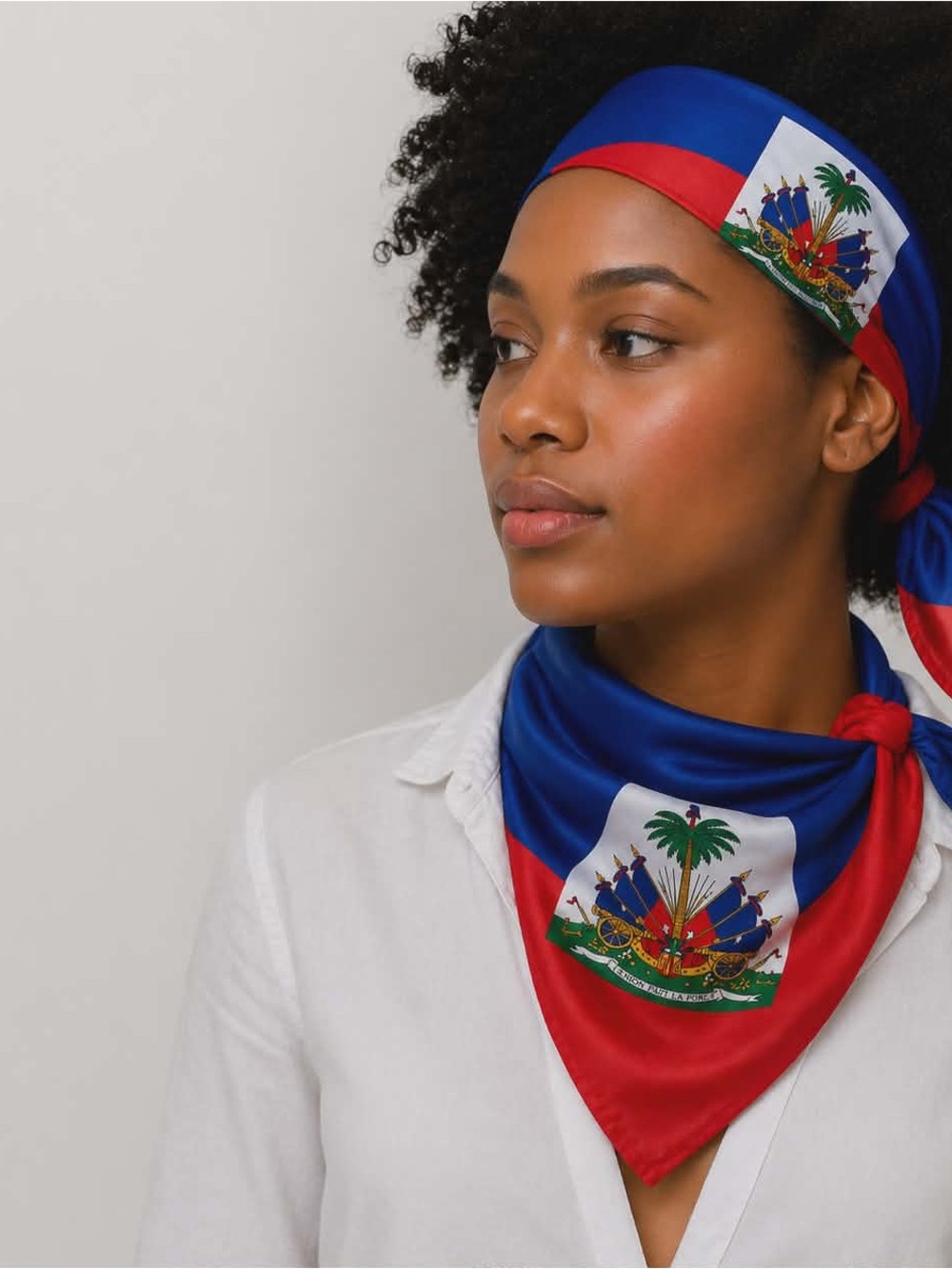Red Graphic Flag or Scarf with Multicolor Crest
